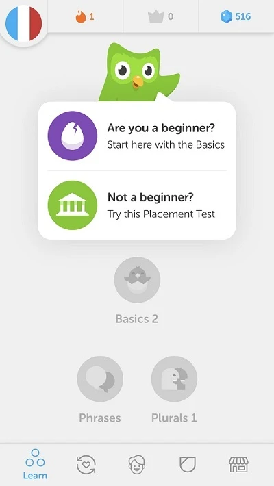 Language Learning App Design