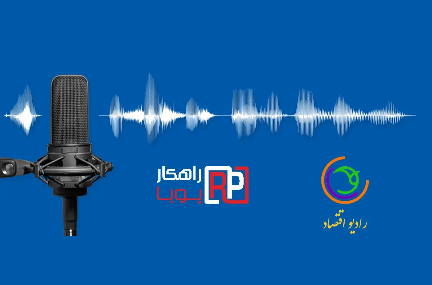 Radio Economy Interview with the CEO of Rahkarpouya Company