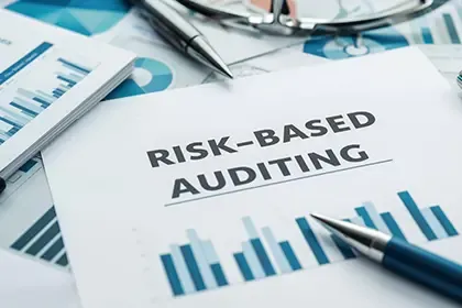 Audit Planning and Risk-Based Auditing