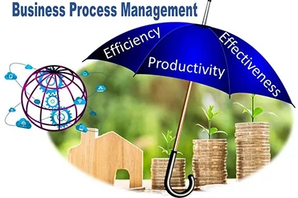 The Application of BPM in Insurance and Risk Management