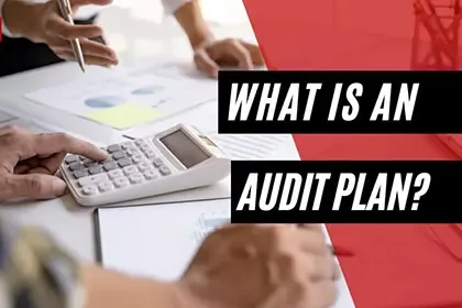 Audit Planning and Risk-Based Auditing